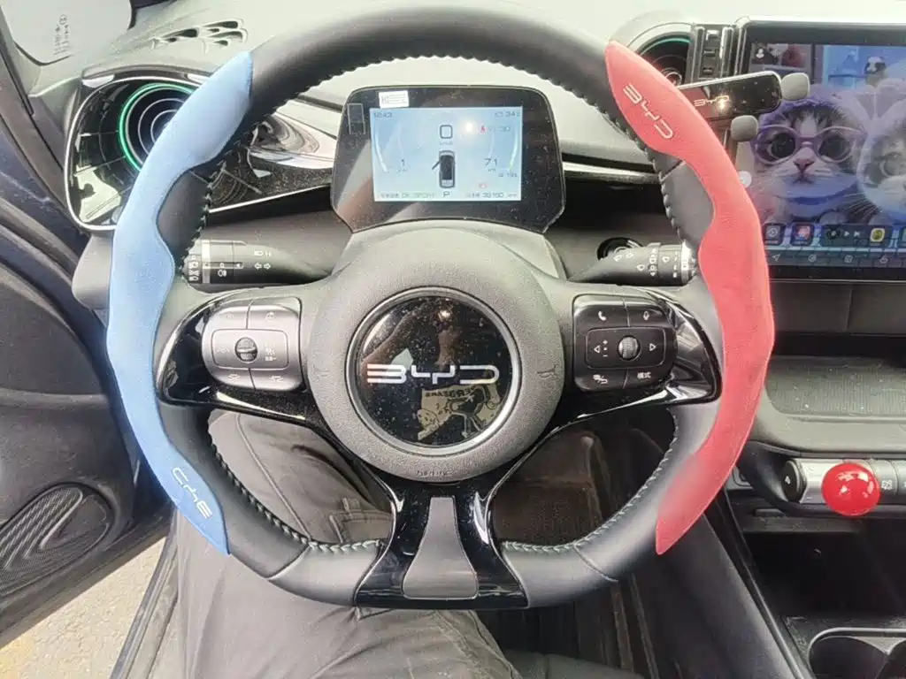 BYD Dolphin — миниатюра 11