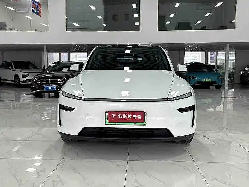 Tesla Model Y — миниатюра 2