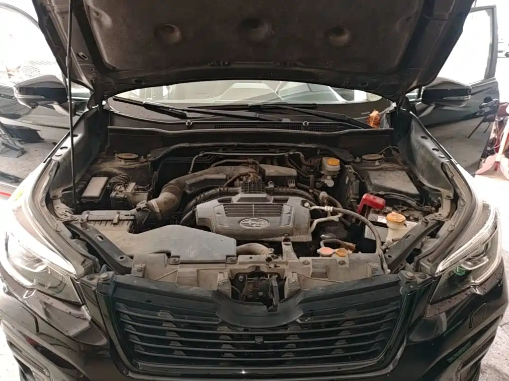 Subaru Forester — миниатюра 25