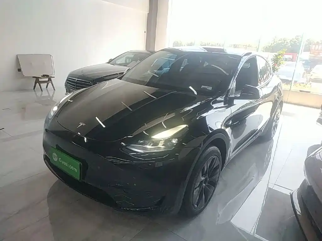 Tesla Model Y — миниатюра 2