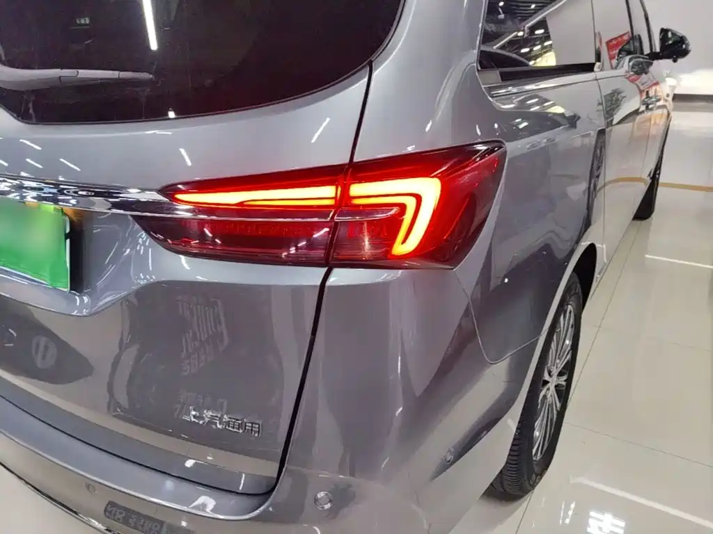 Buick GL8 — миниатюра 8
