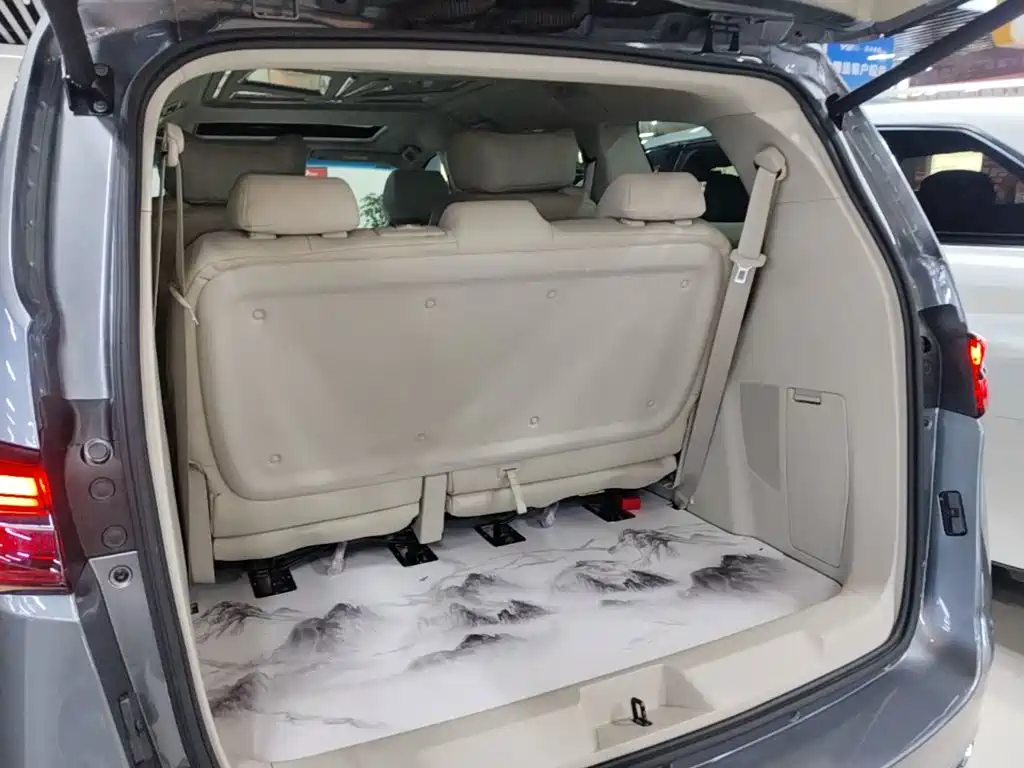 Buick GL8 — миниатюра 19