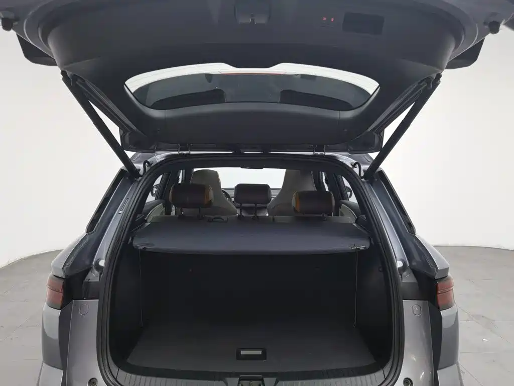 BYD Pro New Energy — миниатюра 16