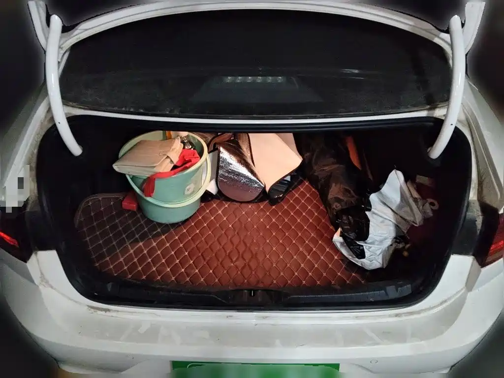 Volkswagen Lamando — миниатюра 20