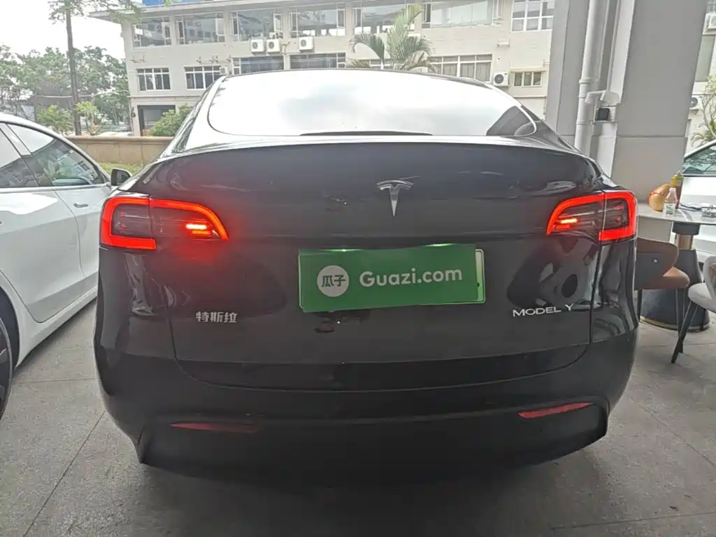 Tesla Model Y — миниатюра 6