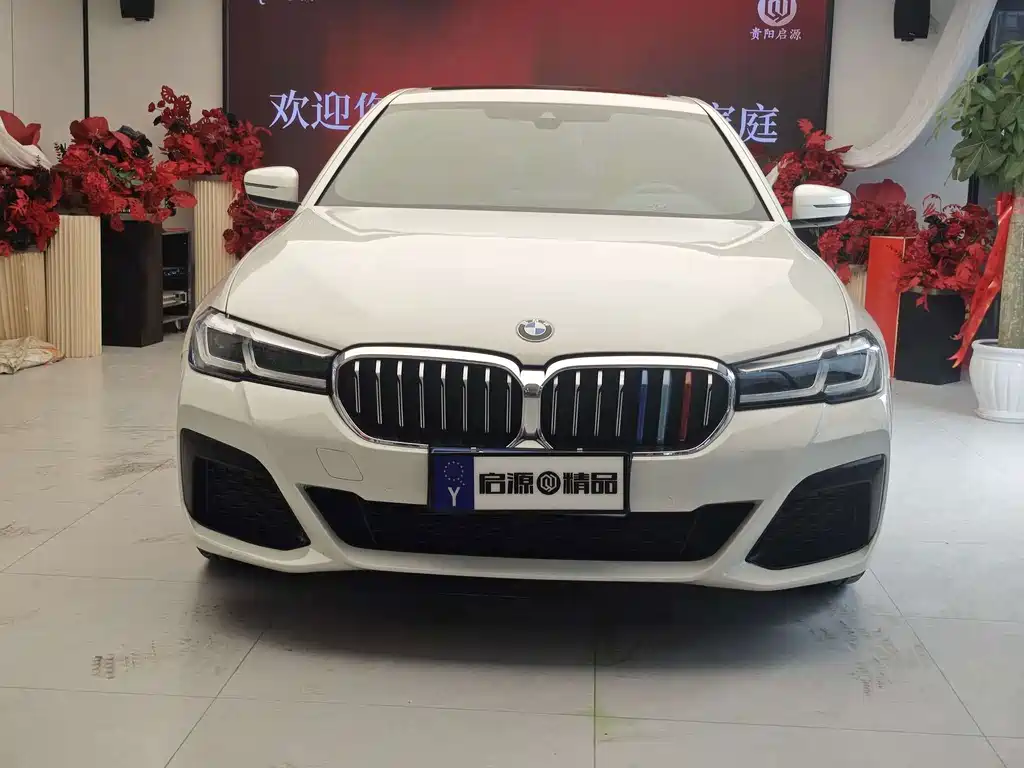 BMW 5 Series (Import) — миниатюра 4
