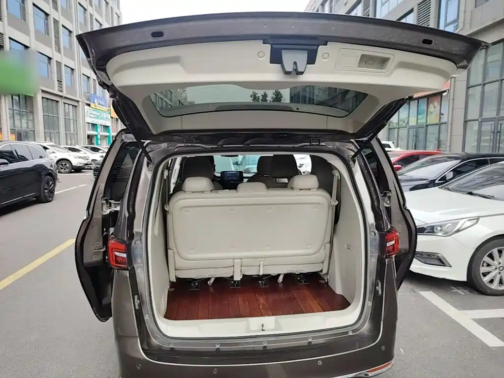 Buick GL8 — миниатюра 19