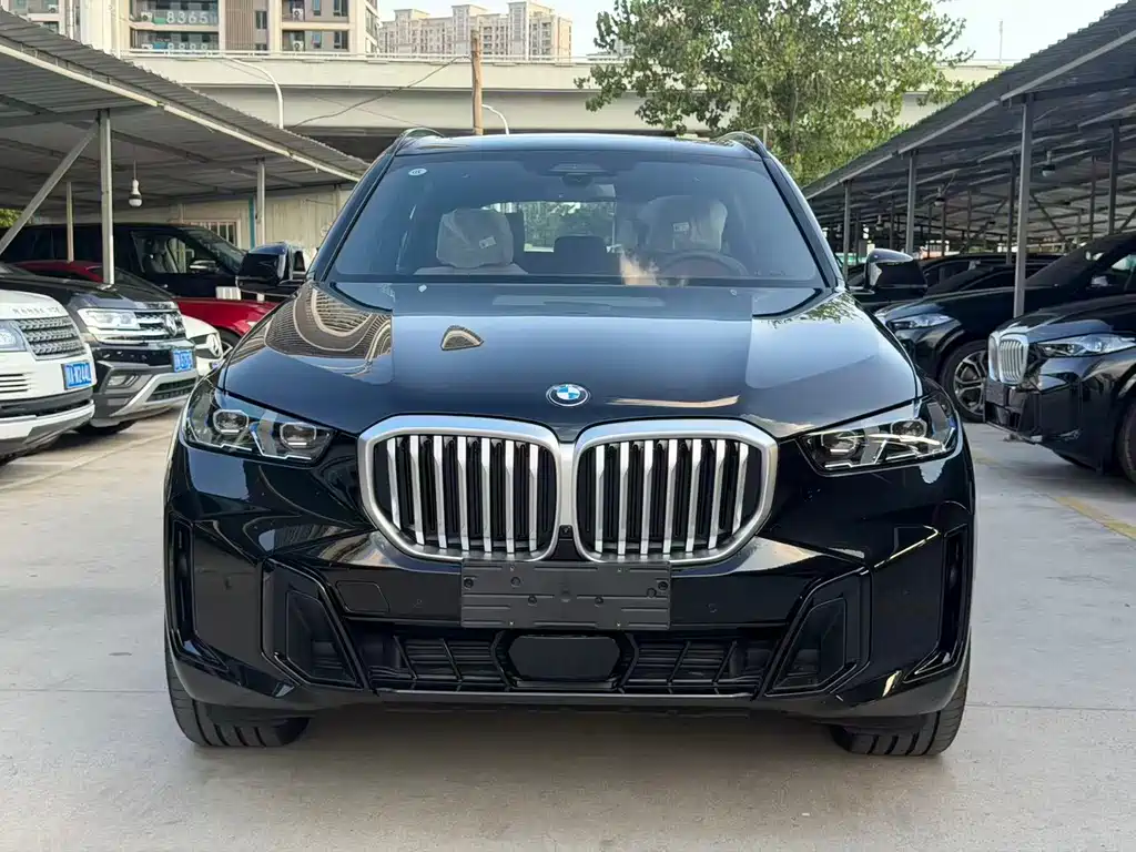 BMW X5 — миниатюра 2
