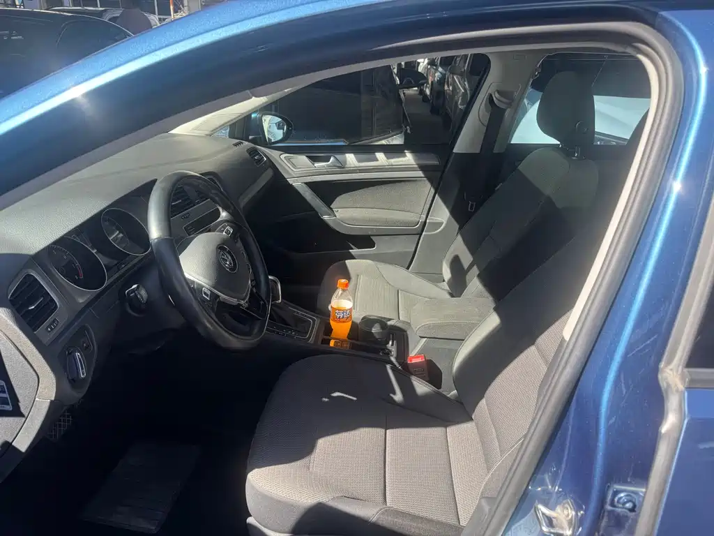 Volkswagen Golf (Import) — миниатюра 8