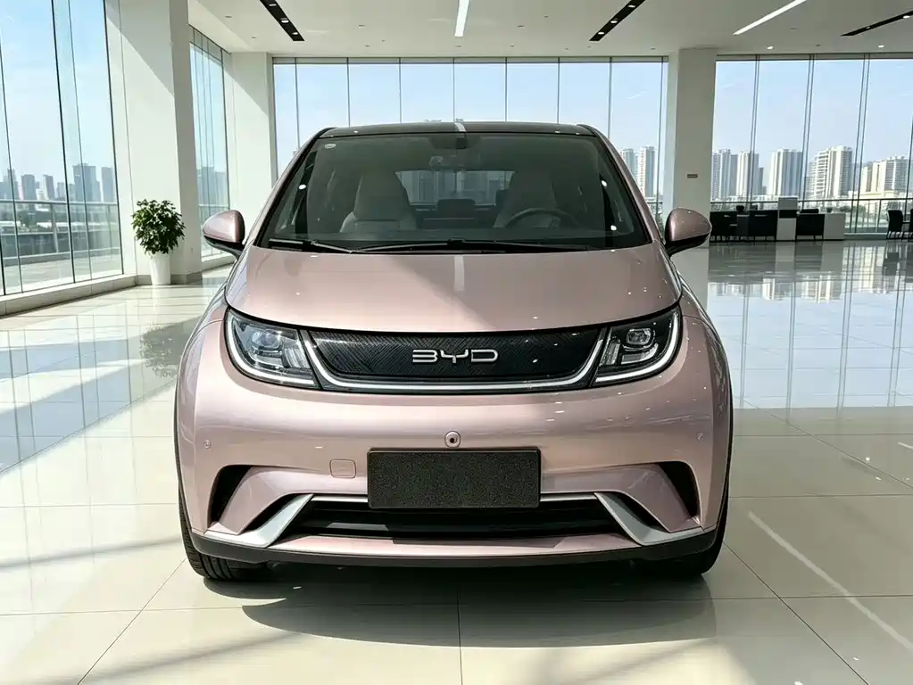 BYD Dolphin — миниатюра 2