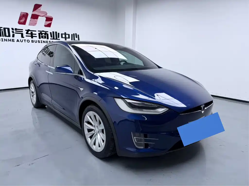 Tesla Model X — миниатюра 3