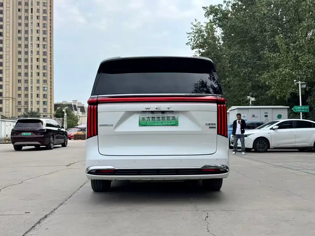 Wey Wey Gaoshan New Energy — миниатюра 10