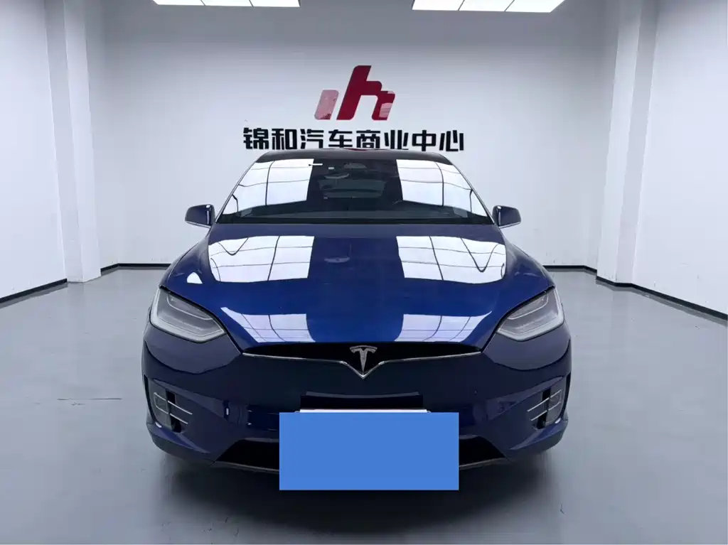 Tesla Model X — миниатюра 2
