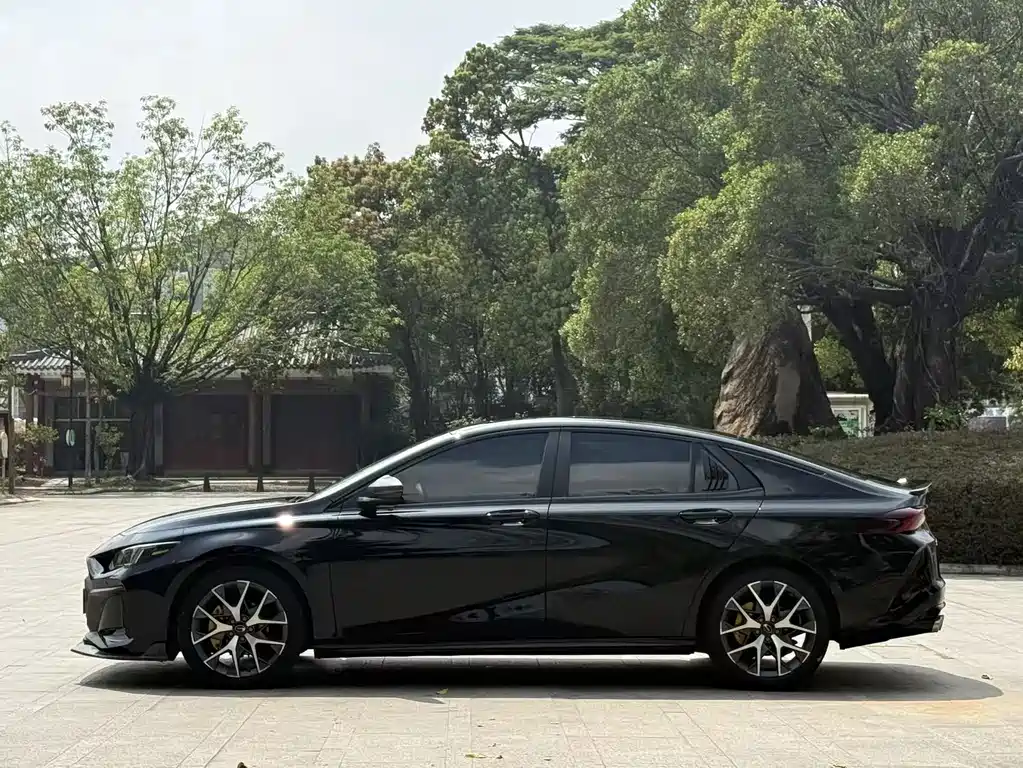 GAC Motor Shadow Leopard — миниатюра 13