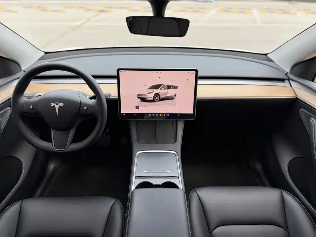 Tesla Model Y — миниатюра 16