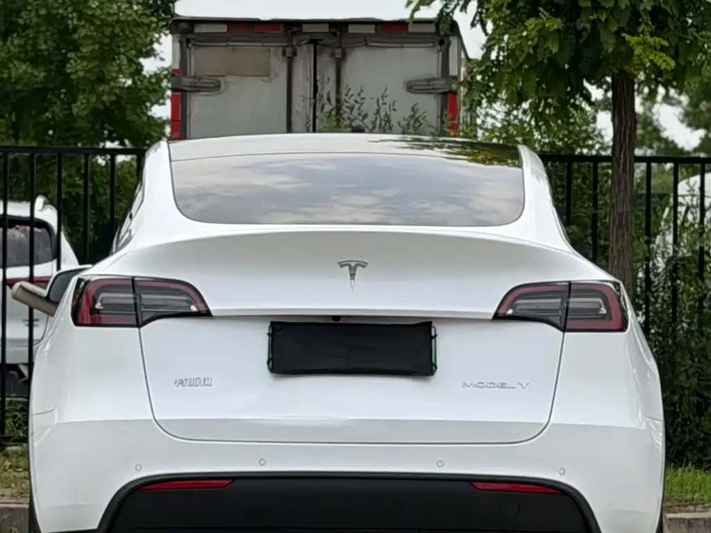 Tesla Model Y — миниатюра 5