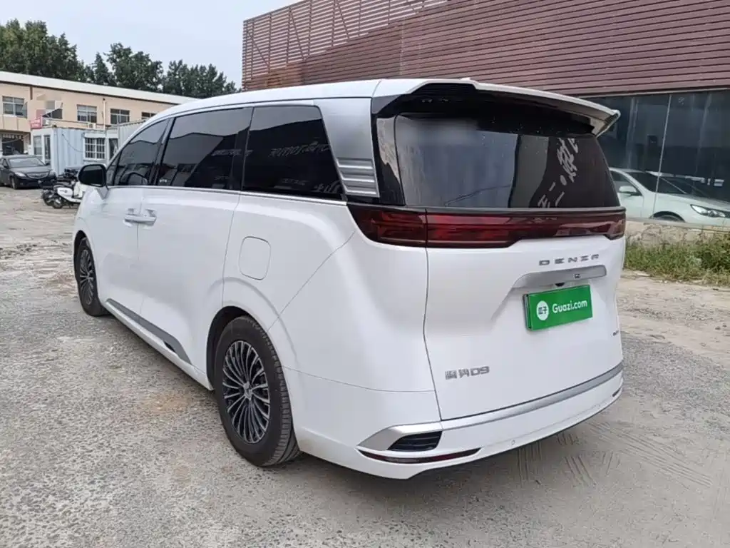 Denza Denza D9 — миниатюра 5