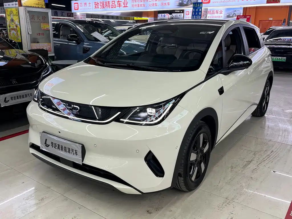 BYD Dolphin