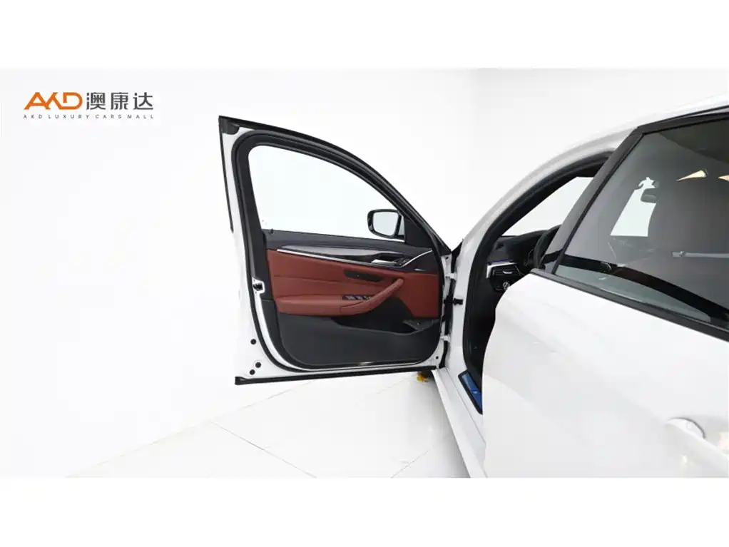 BMW 5 Series 5 2019 530Li Lead M Sport