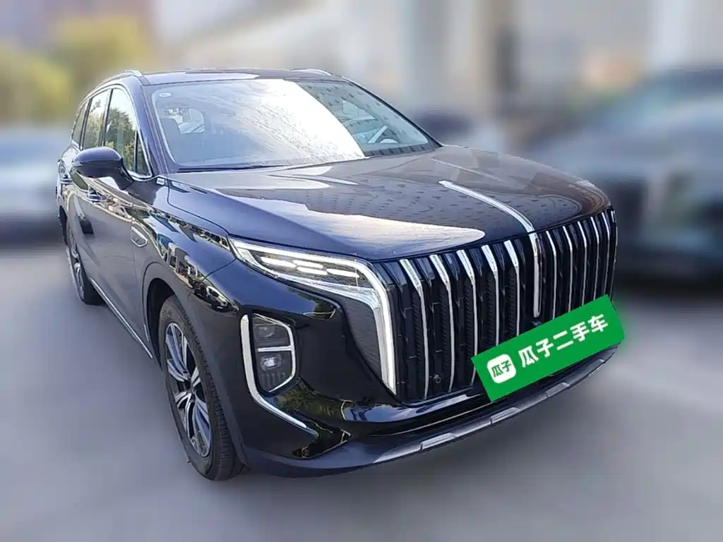 Hongqi Hongqi HS7 PHEV — миниатюра 6
