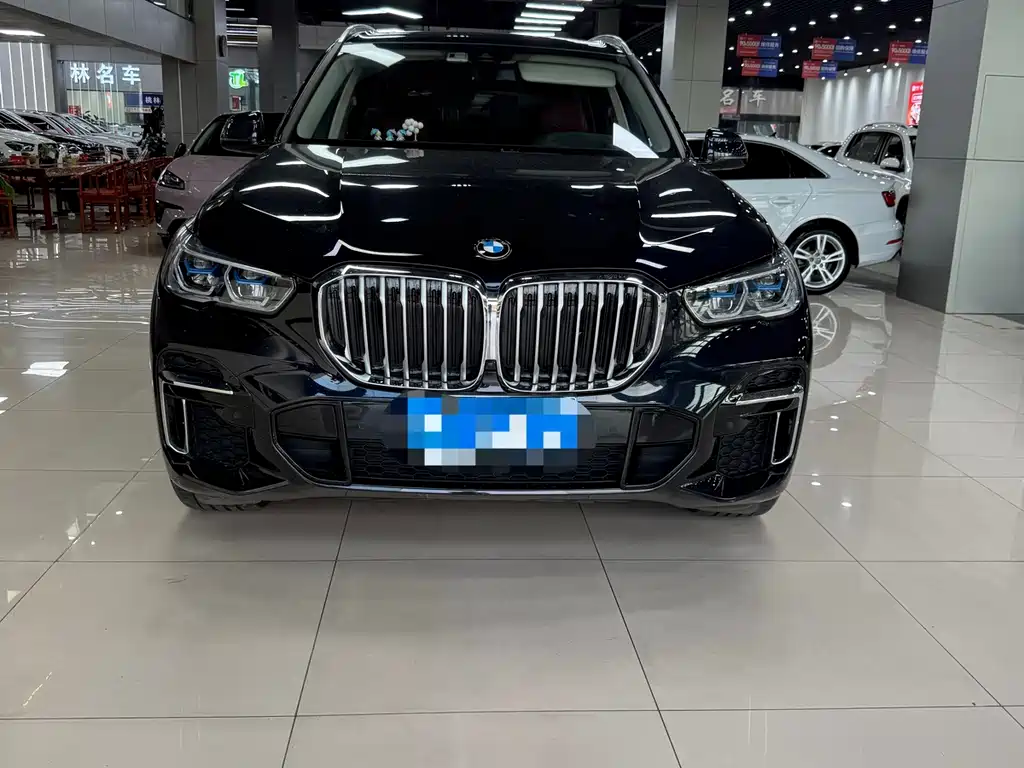 BMW X5 — миниатюра 2