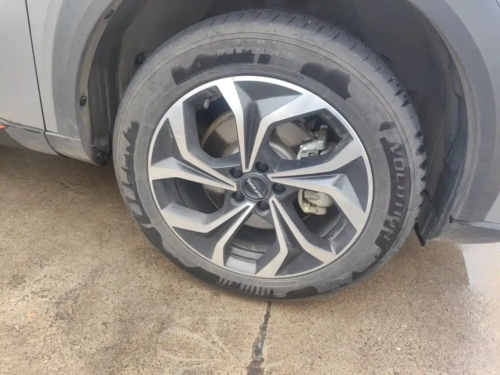 Haval Shenshou — миниатюра 8