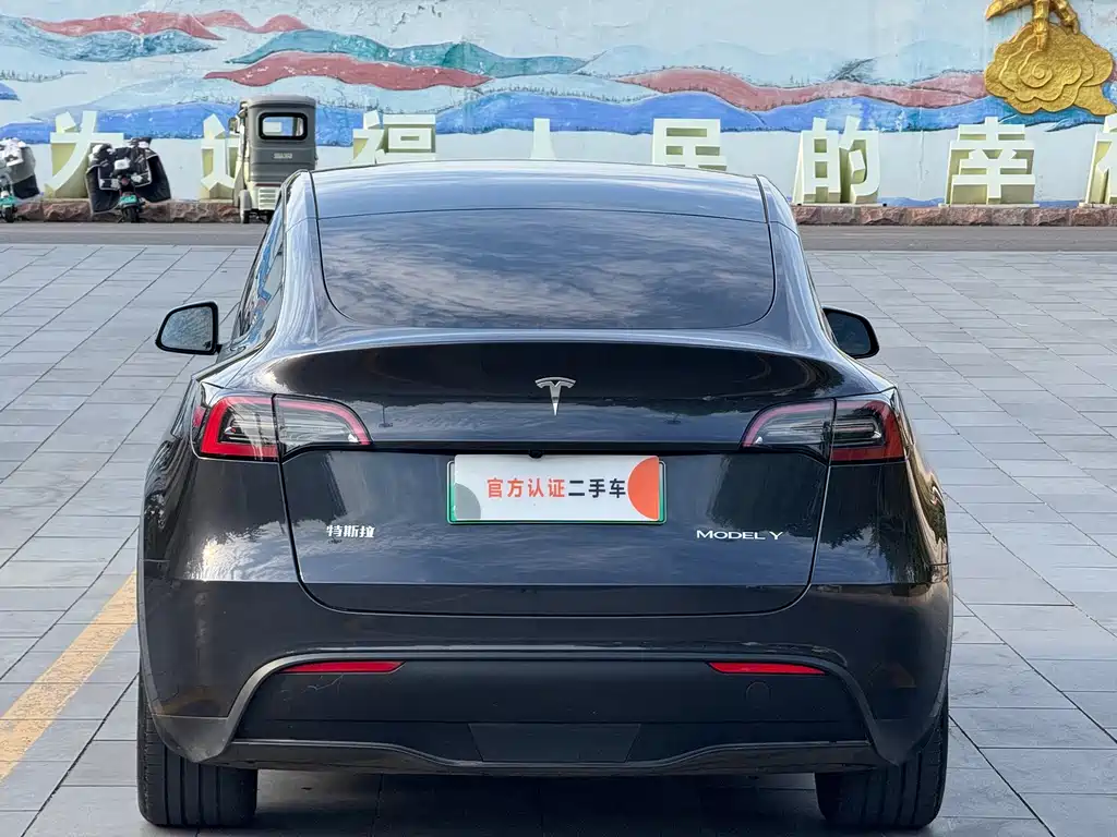 Tesla Model Y — миниатюра 6
