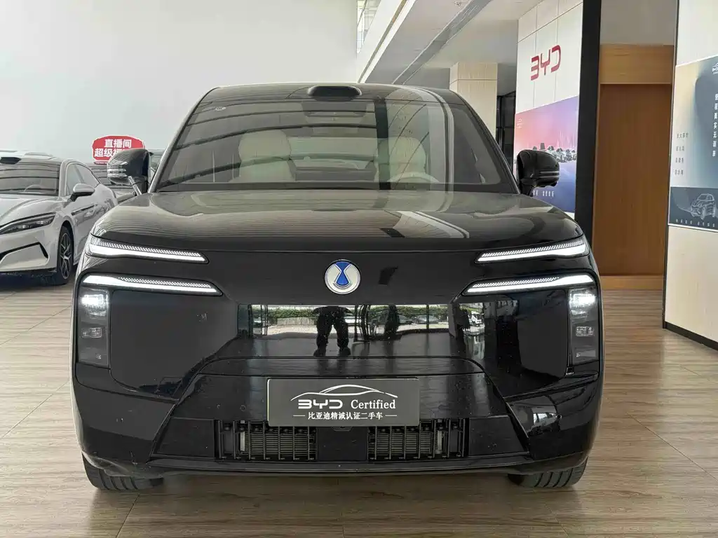Denza Zoom N8L — миниатюра 2