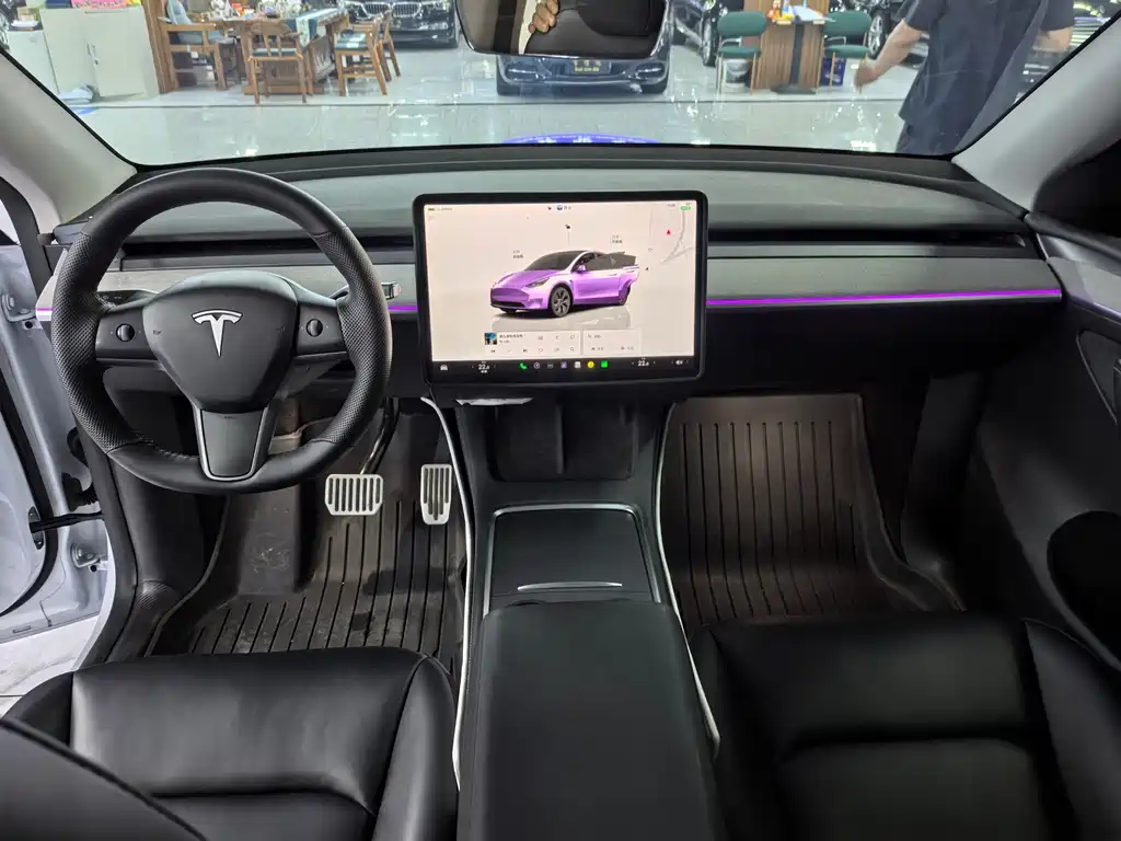 Tesla Model Y — миниатюра 9