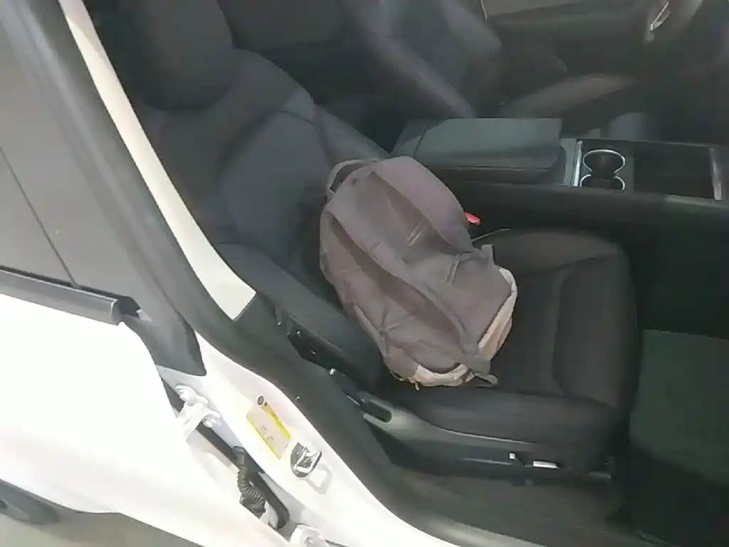 Tesla Model Y — миниатюра 20