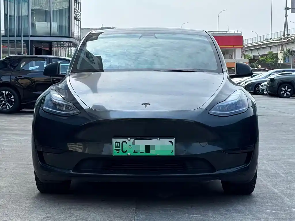 Tesla Model Y — миниатюра 2