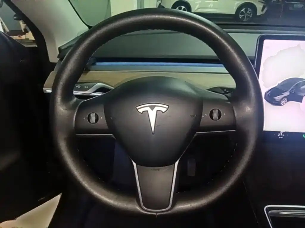 Tesla Model Y — миниатюра 11