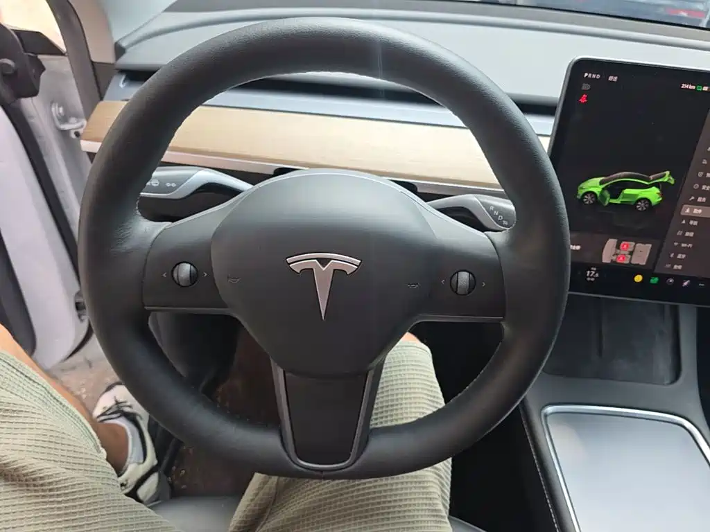 Tesla Model Y — миниатюра 10