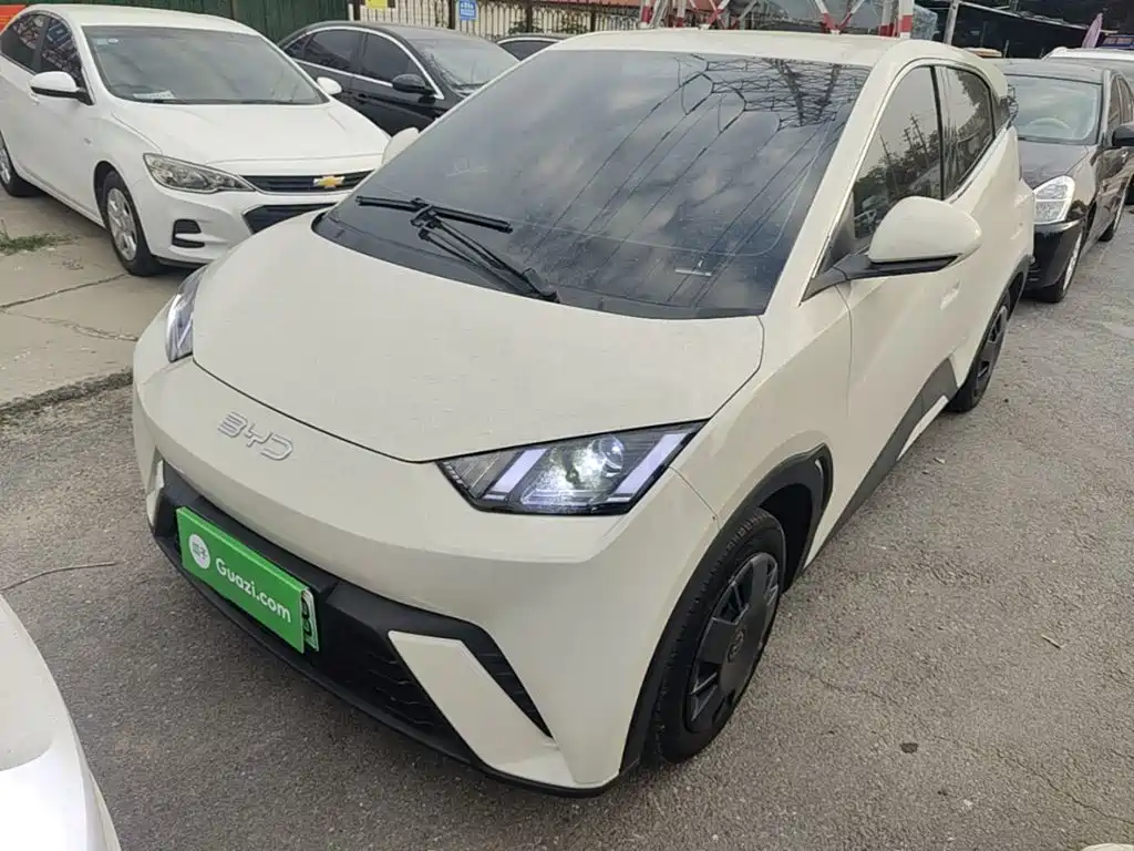 BYD Seagull