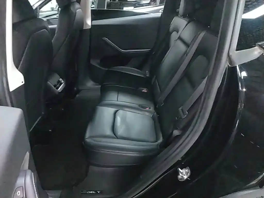 Tesla Model Y — миниатюра 17