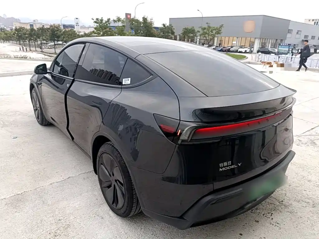 Tesla Model Y — миниатюра 5
