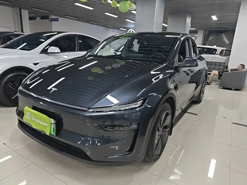 Tesla Model Y — миниатюра 2