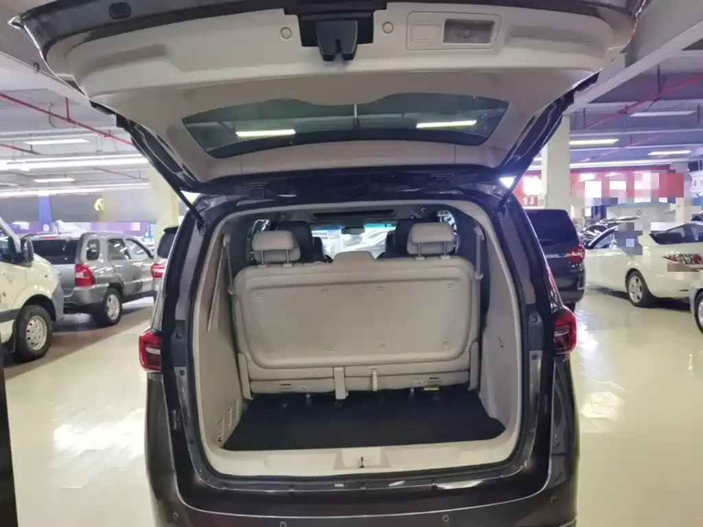 Buick GL8 — миниатюра 19