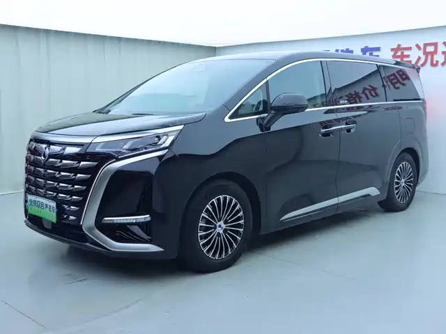 2024 Denza D9