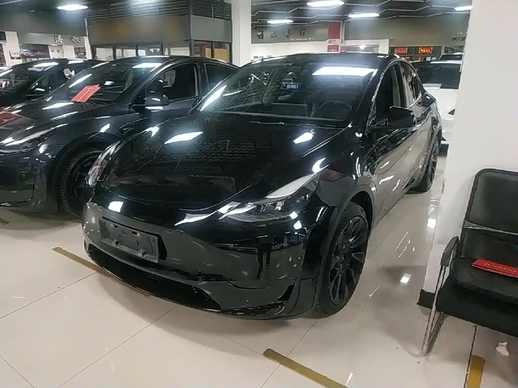 Tesla Model Y — миниатюра 2