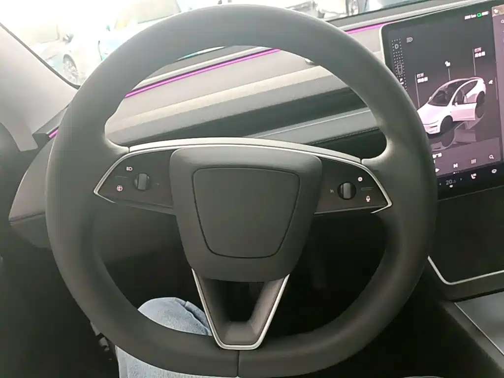Tesla Model Y — миниатюра 11