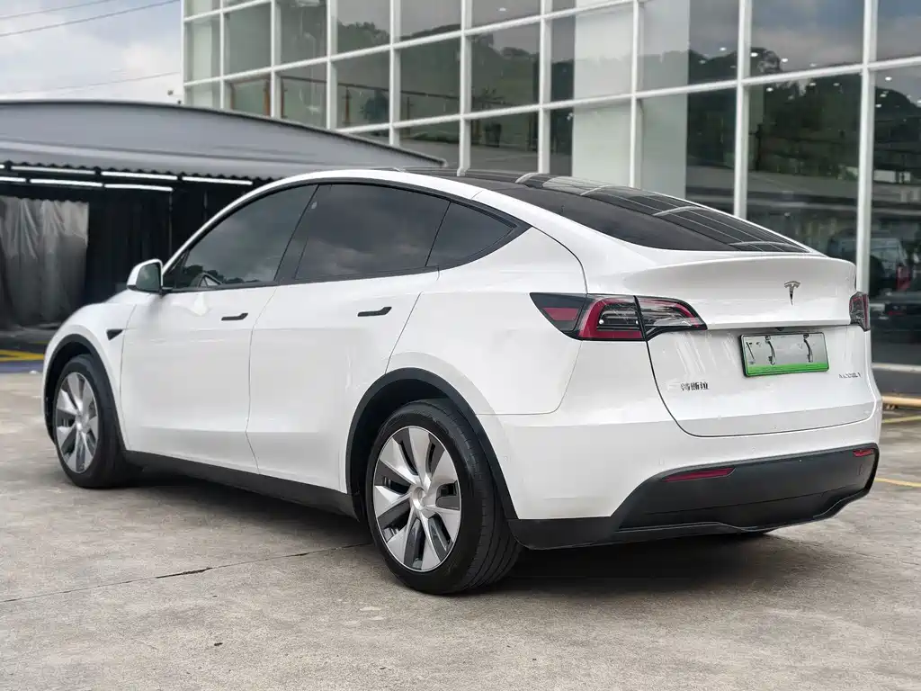 Tesla Model Y — миниатюра 10