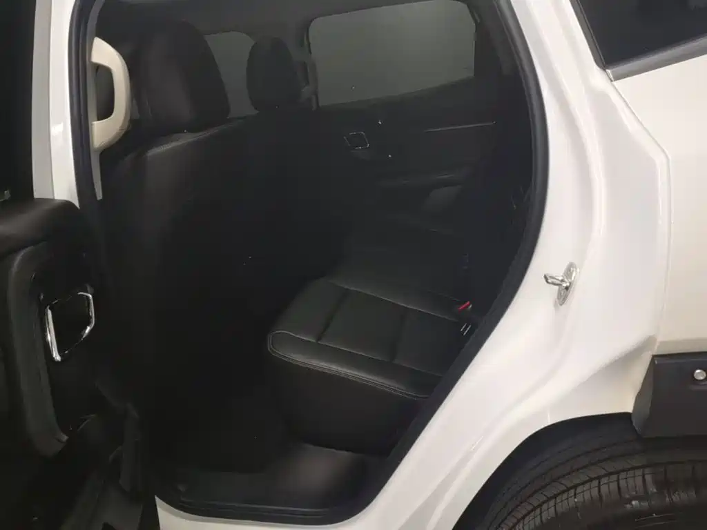 Haval Big Dog PLUS — миниатюра 15