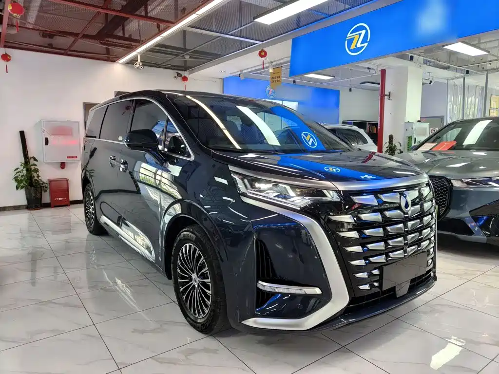 Denza Denza D9 — миниатюра 4