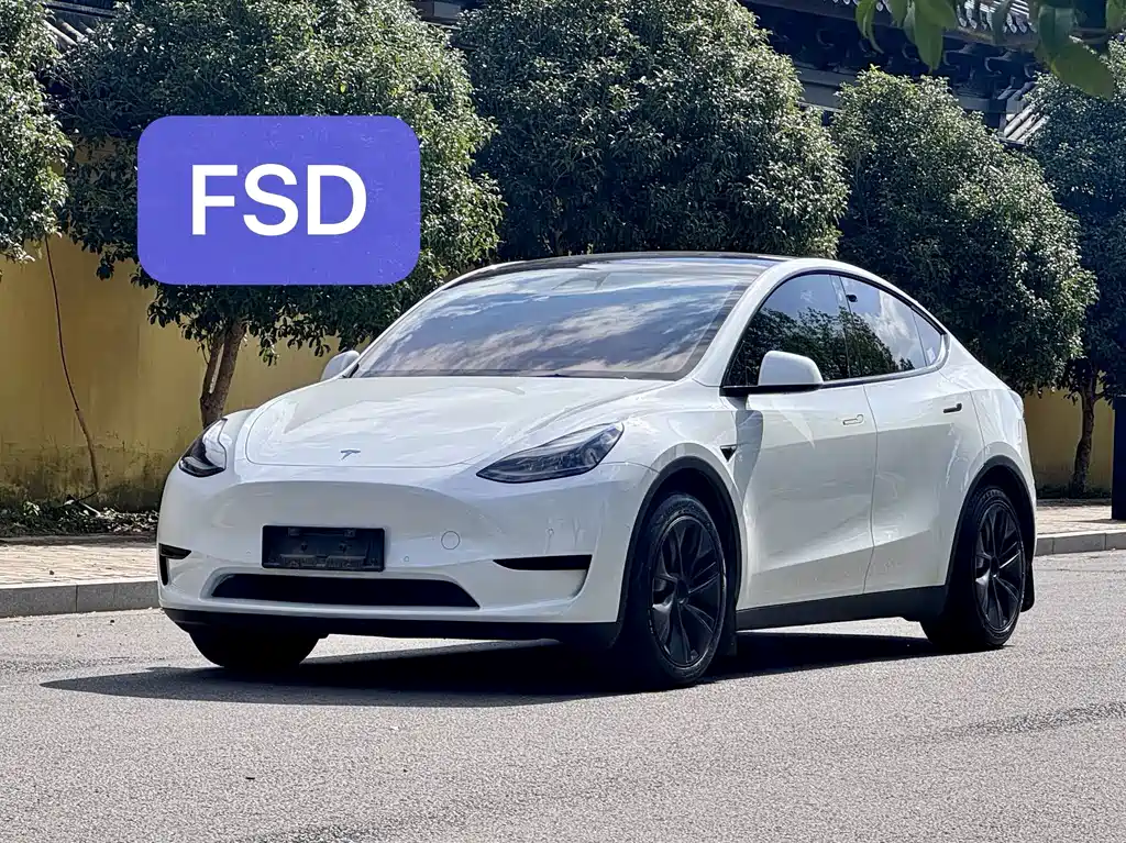 Tesla Model Y — миниатюра 3