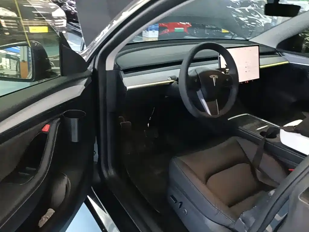 Tesla Model Y — миниатюра 16