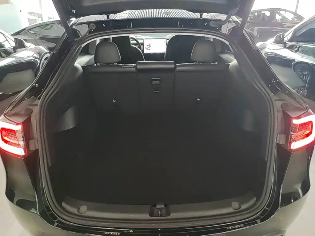 Tesla Model Y — миниатюра 19