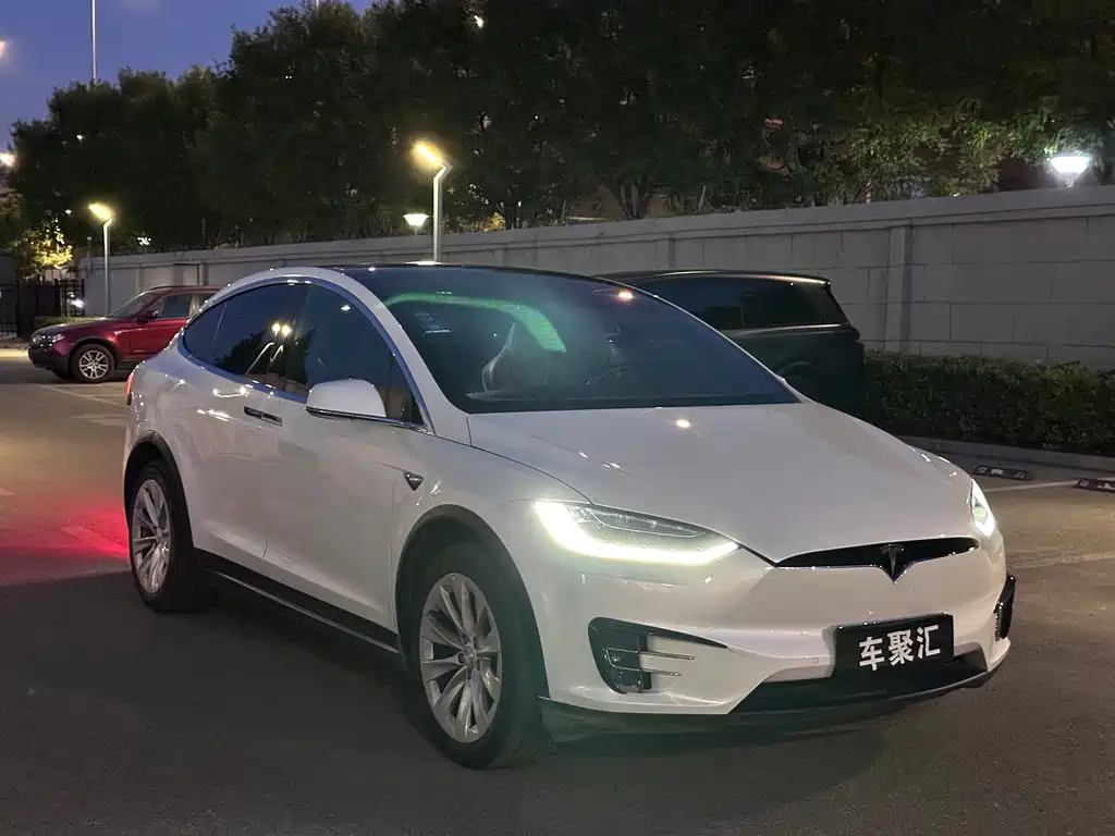 Tesla Model X — миниатюра 6