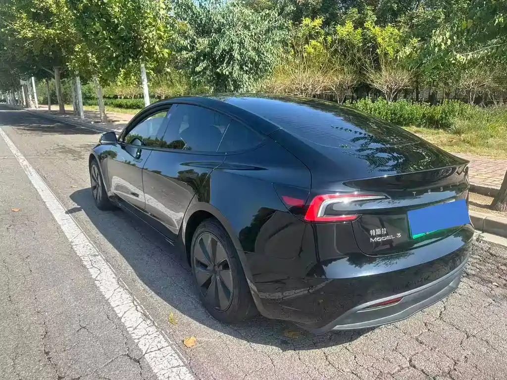 Tesla Model 3 — миниатюра 2