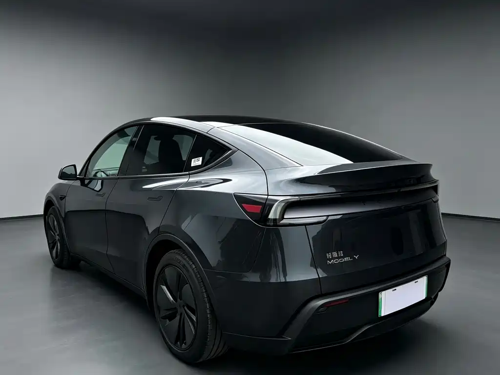 Tesla Model Y — миниатюра 14